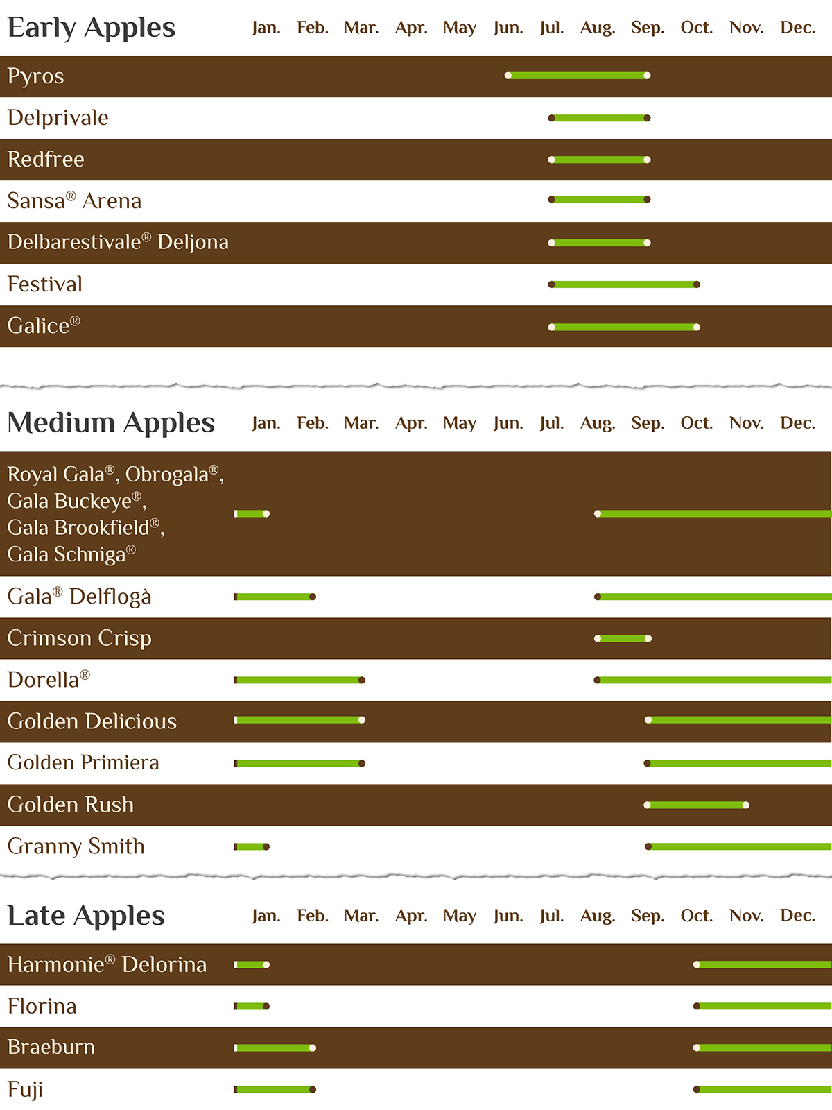 Organic Fuji Apples Biosüdtirol - Organic apples from South Tyrol